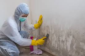 Best Mold Prevention Services  in Chula Vista, CA